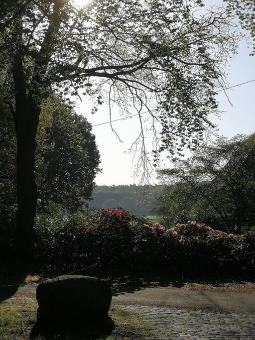 Xanadi Heilehaus Kleine Auszeit Kururlaub Bruchhausen-Vilsen Exterior foto